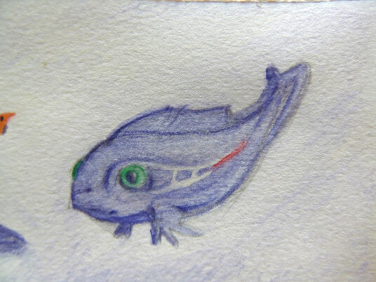 2024.05.31 - watercolour of a juvenile glubleko, verdajn okulojn