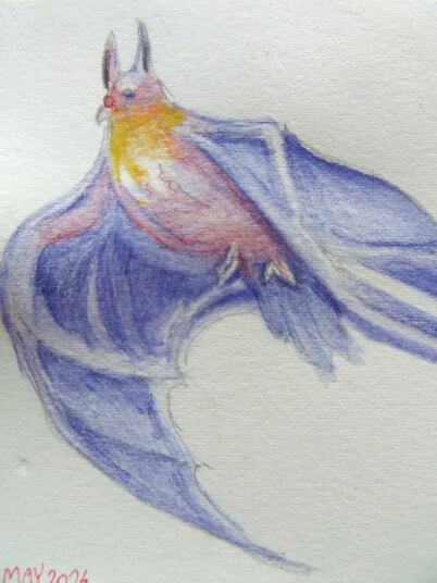 2024.05.31 - watercolour of a fluganta rato, frostaj plumoj