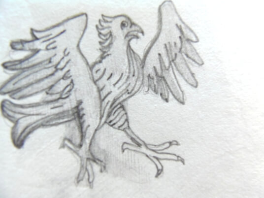 2024.11.03 - pencil reproduction of a scared looking… fowl?